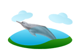 Amazon River Dolphin image