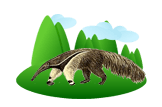 Anteater image