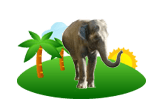 Asian Elephant