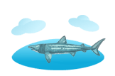 Basking Shark