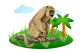 Black Howler Monkey