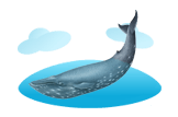 Blue Whale