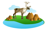 Caribou