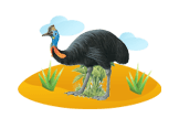 cassowary