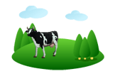 cow