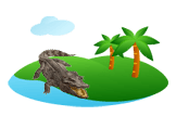 Crocodile