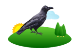 Crow