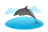 dolphin