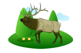 Elk