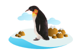 Emperor Penguin