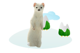 ermine