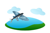 Flying Fish