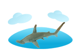 Hammerhead Shark