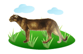 jaguarundi