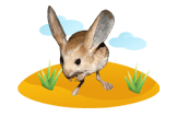 Jerboa