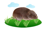 Lemming