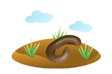 Millipede