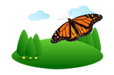 Monarch Butterfly