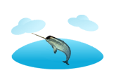 narwhal