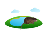 Nutria