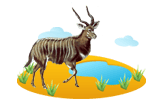 nyala