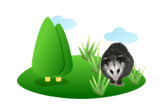 Opossum