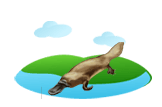 platypus