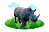 rhinoceros