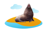 Sea Lion