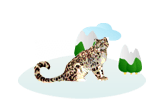 Snow Leopard