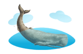 Sperm Whale