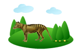 Thylacine