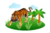 tiger