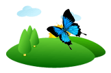 Ulysses Butterfly