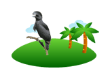 Umbrella Bird