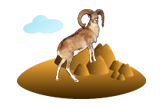 Urial