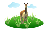 Vicuna