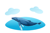 Whale