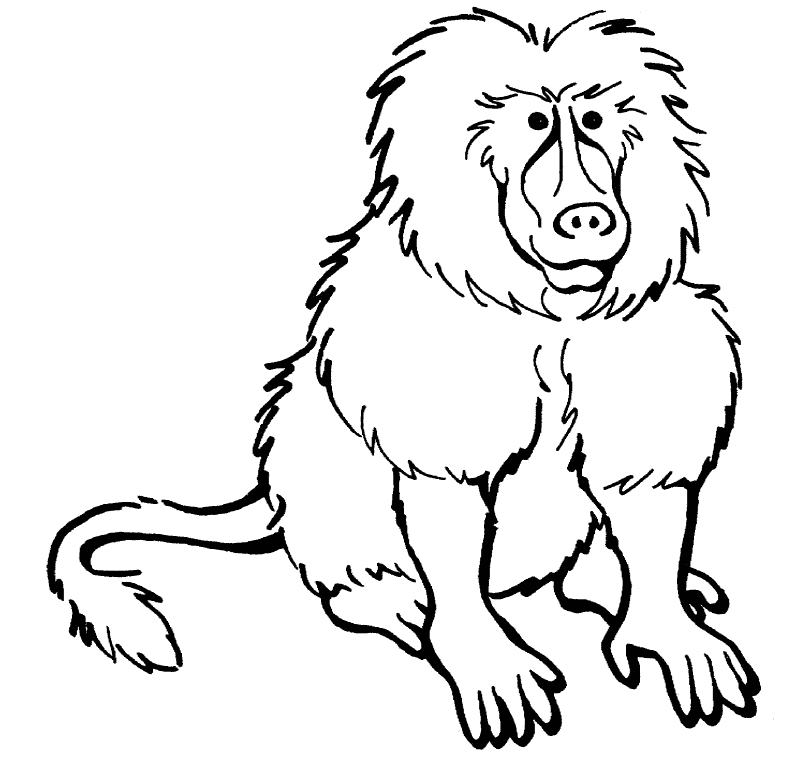 free Baboon coloring page picture