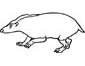 Badger coloring page