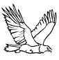 Bald Eagle coloring page