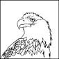 bald eagle coloring page