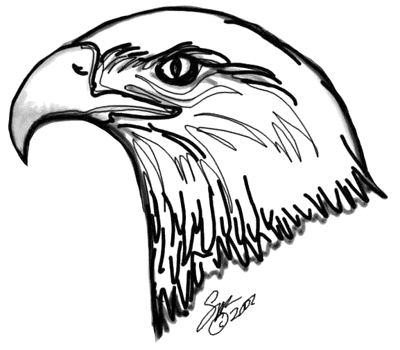 Bald Eagle coloring - Free Animal coloring pages sheets Bald Eagle
