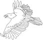 Bald Eagle coloring page