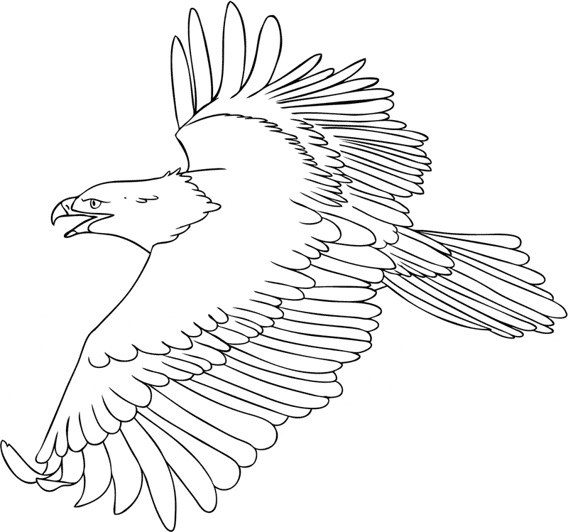 Flying Bald Eagle coloring page - Animals Town