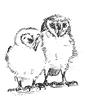 Barn Owl coloring page