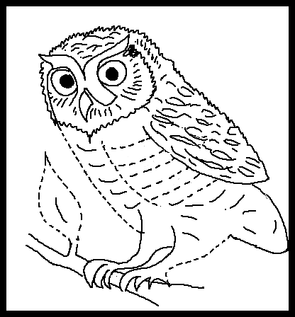 free Barn Owl coloring page picture print