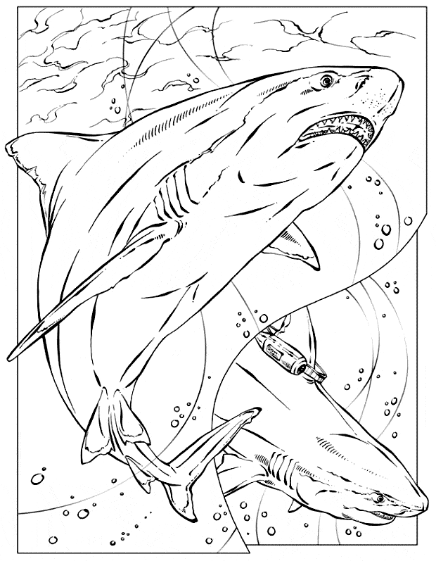 free Basking Shark printable coloring page