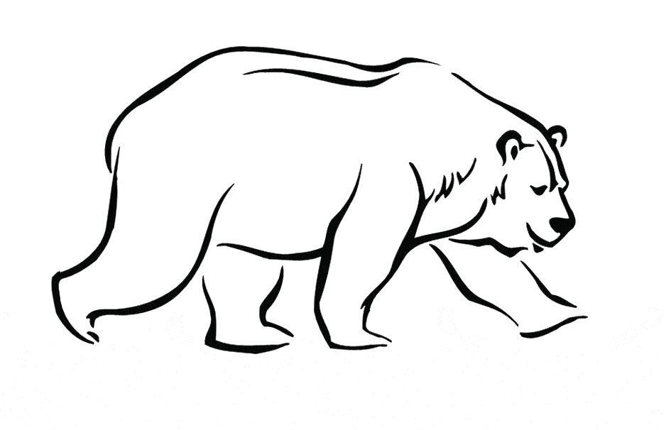 free Bear color coloring print