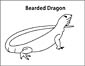 bearded dragon coloring page